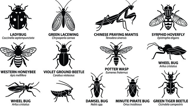 Beneficial Garden Insects and Pest Control Bugs Silhouette Vector Icon Set Featuring Ladybug Praying Mantis Honeybee and Beetle for Agriculture Designs
