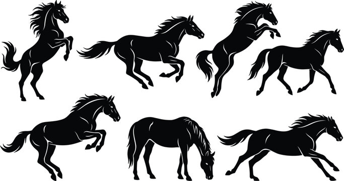 Running and Rearing Horse Silhouette Vector Icon Set Featuring Wild Mustangs Galloping Grazing and Jumping for Equestrian Sports Logo Branding Designs