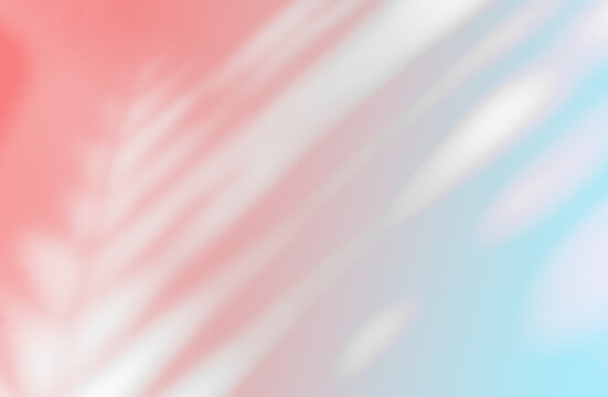 Background shadow palm pink blue premium gradation beige texture blur gradient light pastel abstract luxury premium mockup peach color backdrop template valentine summer spring overlay