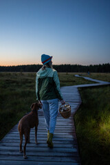 Obraz premium Woman mushroom hunter walking dog back home after productive forest trip under twilight evening sky. Travel at dusk, uneven terrain trip with pet, journey in cold wetland, returning from forest forage