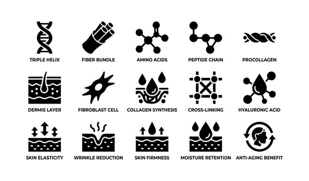 Collagen and skin icons showing dermal benefits on white background