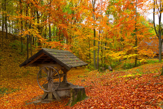Rustic wooden well in a vibrant autumn forest with fallen leaves