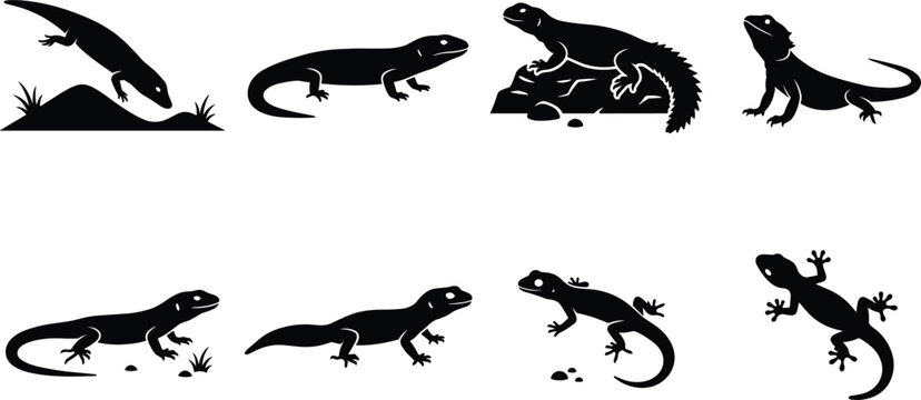 Agamid and Gecko Lizard Silhouette Vector Set with Bearded Dragon, Uromastyx, and Skink Icons for Wildlife and Nature Graphic Designs