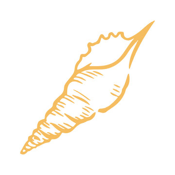 Turritella Seashell Outline Illustration