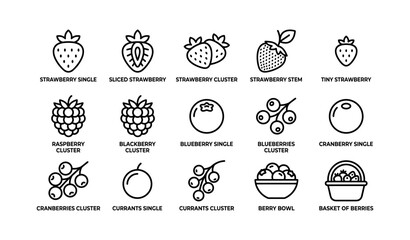 Fototapeta premium Berry icons depicting strawberries blackberries and blueberries