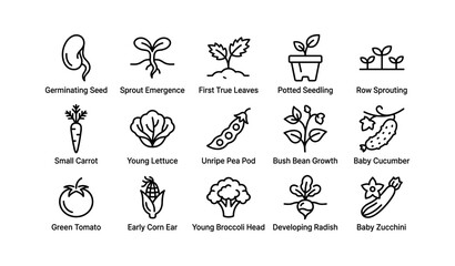 Fototapeta premium Vegetable growth and produce icons arranged in grid layout