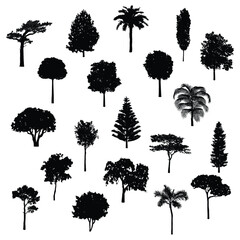 Fototapeta premium Set of Tree Silhouettes Vector Collection with Oak Pine Palm Birch and Tropical Trees for Nature Forest Landscape Design Illustration