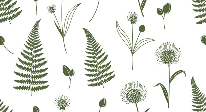 Delicate fern and dandelion botanical illustration.