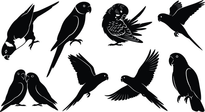 Small Parrot and Parakeet Silhouette Vector Set with Budgie, Lovebirds, and Cockatiel Icons for Tropical Wildlife Graphic Designs