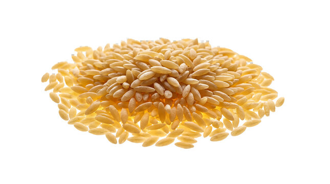 Orzo pasta grains are piled in a small heap against a clean white background to showcase the dry texture of the food ingredient.