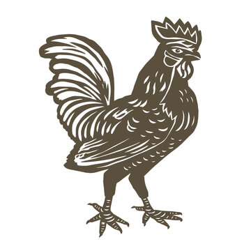 Black and white illustration of fighting roosters