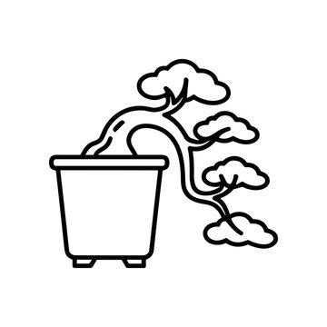 Bonsai Tree in a Pot.