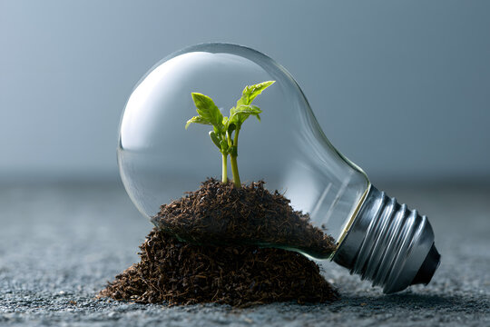 Eco-friendly Light bulb with Sprouting Plant for Sustainable Energy Idea