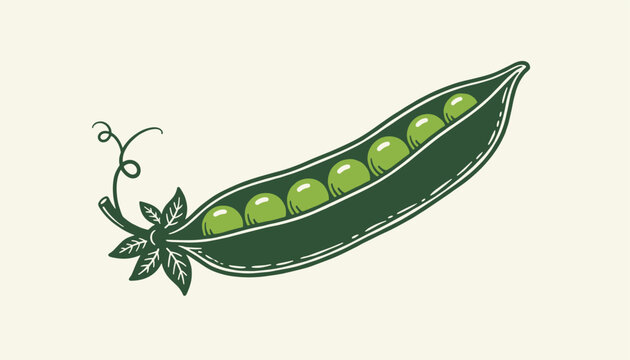 Hand-drawn vector illustration of a single opened green pea pod displaying a row of sweet peas on a cream background.