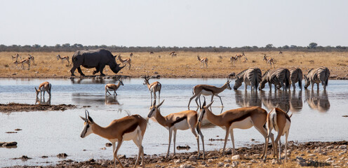 Waterhole © Matija