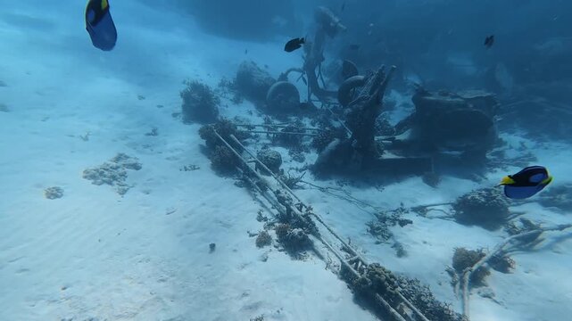 Decaying scooter wreckage rests on the ocean floor of Gili Trawangan, Bali, among growing corals and swimming fish. This underwater footage emphasizes marine adaptation to human-made objects in the en