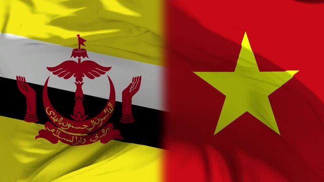 Brunei And Vietnam Flag Waving in Slow Motion Loop Animation