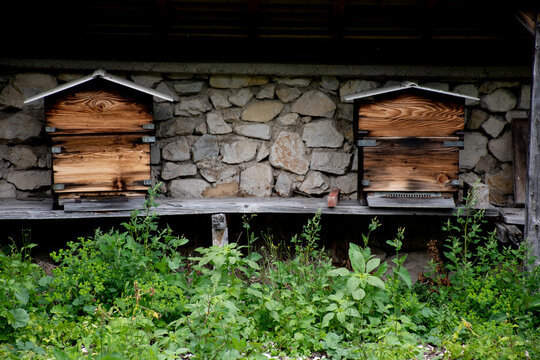 306 gresse en vercors