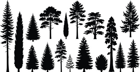 Fototapeta premium Coniferous tree silhouettes collection, black evergreen forest pine and spruce vector elements, 16 botanical wood icons for landscape design