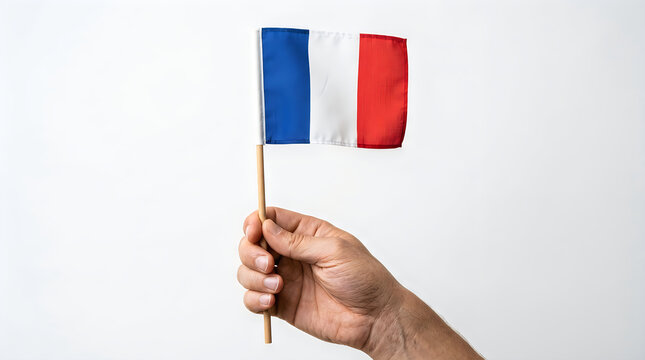 Person holding a small national flag of france in hand