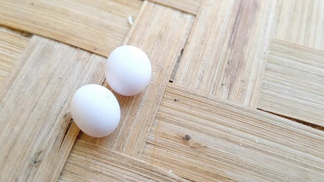 Macro shot of two tiny lizard eggs resting together on a textured surface