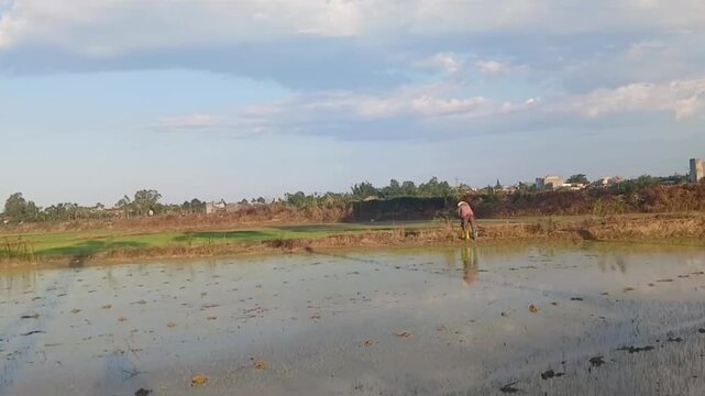 Farmer Using Backpack Sprayer in Vietnamese Rice Field