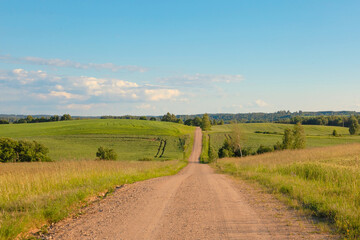 Fototapeta premium Country road through green fields under blue summer sky. Peaceful rural landscape with rolling hills and farmland.
