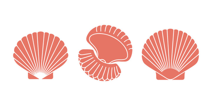 Decorative seashell icon collection in solid and outline styles scallop shell marine nature symbols, coastal beach vector