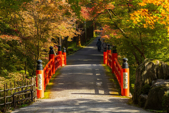 日本の風景・秋　京都　紅葉の今熊野観音寺　鳥居橋