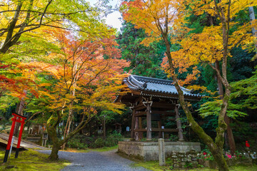 Obraz premium 日本の風景・秋 京都 紅葉の今熊野観音寺