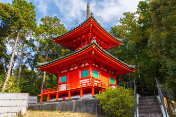 Obraz premium 日本の風景・秋 京都 紅葉の今熊野観音寺 医聖堂