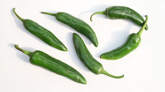 Giant Jalapeno peppers, a medium-hot chili variety (2,500&ndash;15,000 SHU) from Mexico, grow 8-12 cm (3-5 inches) long. Giant Jalape&ntilde;os are massive chili peppers that grow up to 5 inches long and 1 inch.
