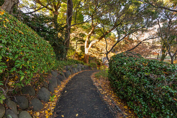 Fototapeta premium Quiet walkway in the Imperial Palace East Gardens with beautiful stonework and fallen leaves December 2023