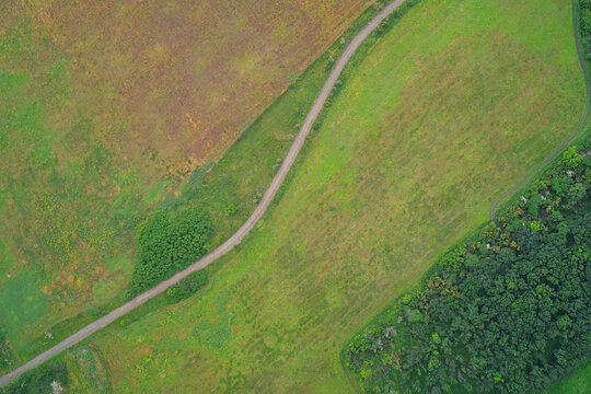 Agroforestry shelterbelt with country dirt road splitting green pasture fields scenic drone shot