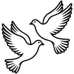 Fototapeta premium Elegant Dove Duo Artwork With Flowing Outline Design And Symmetrical Wing Composition Isolated on a Transparent or White Background