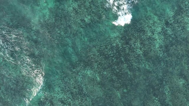When the Sea Withdraws: South Sumba's Extreme Low Tide Reaches More Than a Kilometer Offshore