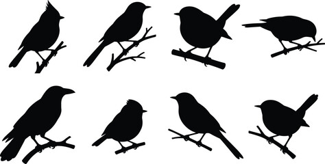Fototapeta premium WebSet of various black bird silhouettes on tree branches for nature graphic design and wildlife illustration elements