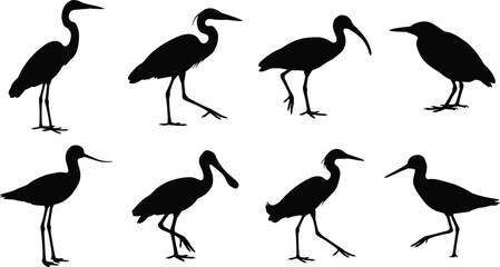 Obraz premium WebSet of eight wading bird silhouettes including herons egrets and ibis for nature and wildlife design projects