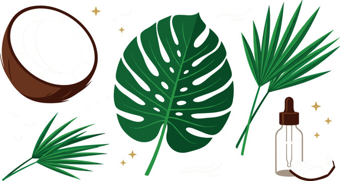 Natural organic coconut oil cosmetics vector element set featuring fresh coconut half monstera leaf tropical palm fronds dropper bottle and gold stars.
