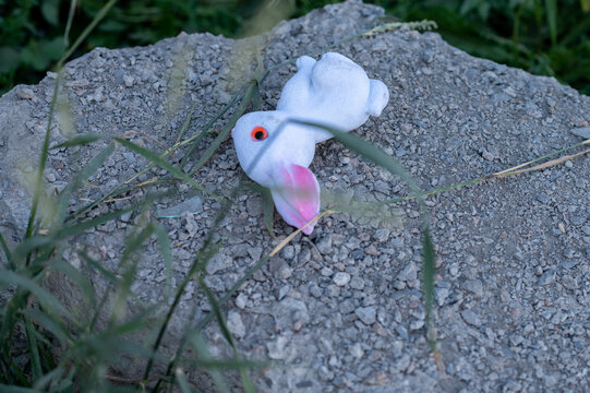 A lost baby rubber rabbit toy