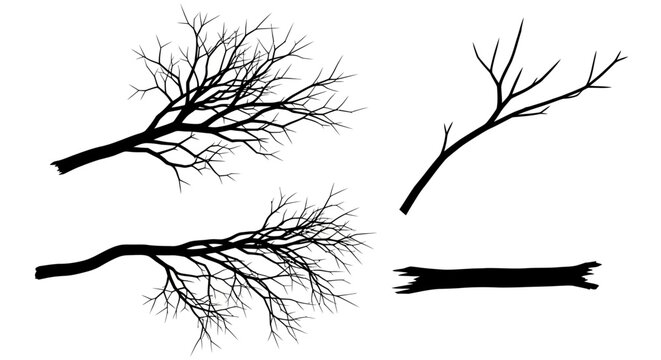 Bare tree branches, black silhouettes, vector set, 4 elements, twigs, isolated on white