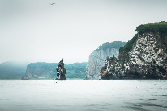 Kamchatka, Russia. Avacha Bay with rocks at foggy morning. Pacific ocean coast. Seagulls flying over the water.