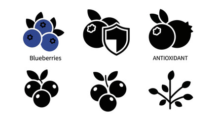 Fototapeta premium Blueberry Icons: Antioxidant, Health Benefits, Fresh Fruit, Superfood, Vector Graphics