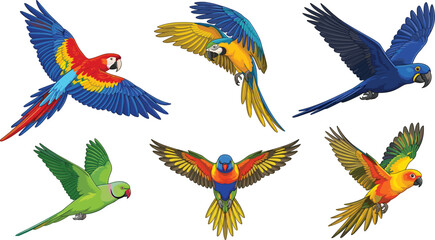 Flying macaw parrot vector icon set with colorful tropical birds for exotic wildlife designs © MdAungur