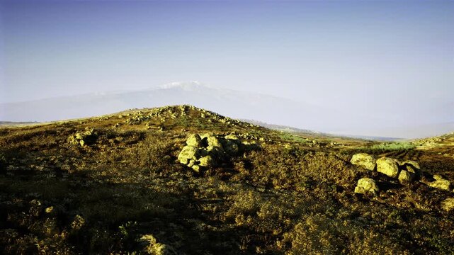 Bright sundrenched upland slope dotted with rounded rocks and low blooms, distant hazy ridgeline adds depth, scene evokes warm outdoor adventure and slow