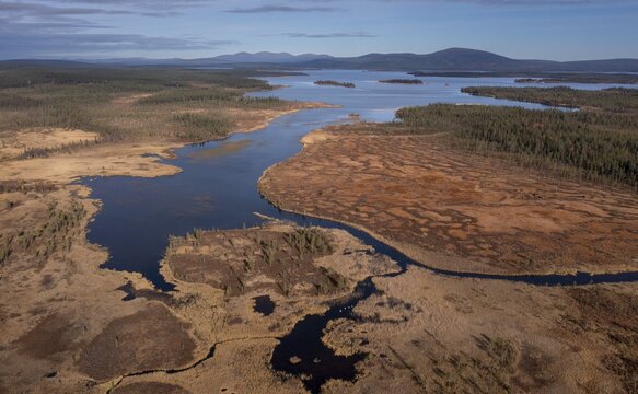 Drone image, aerial view, wetland, bog in autumn, Lapland, Finland