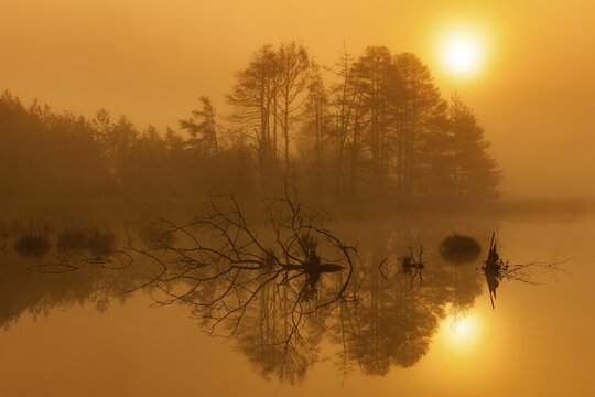 Mystical landscape with reflecting water and sunset atmosphere, Schwenninger moss, Villingen-Schwenningen, Black Forest-Baarkreis, Baden-W&uuml;rttemberg, Germany