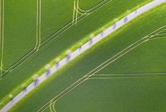 Pattern of path and tractor tracks in a field, aerial view like leaf structure, Rochlitz, Saxony, Germany