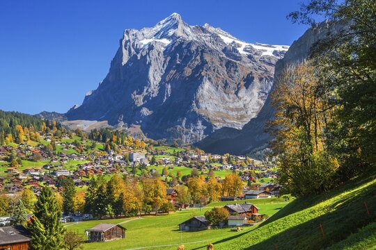Autumn landscape with village overview and Wetterhorn 3690m, Grindelwald, L&uuml;tschinental, Bernese Oberland, Canton of Bern, Switzerland