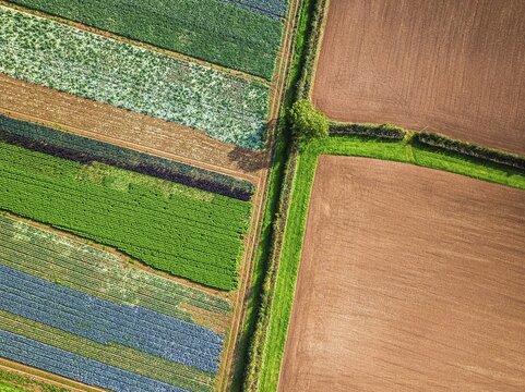 Top down view over fields from a drone, Devon, England, United Kingdom